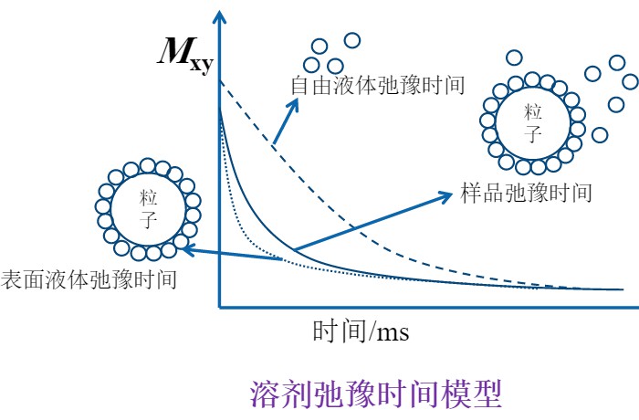 顆粒分散性怎么描述？低場(chǎng)核磁技術(shù)