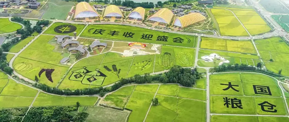 第五個(gè)中國農(nóng)民豐收節(jié)|紐邁攜農(nóng)產(chǎn)品品質(zhì)成分低場核磁快速分析儀 亮相天府農(nóng)博園